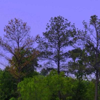 BOB·体育APP下载