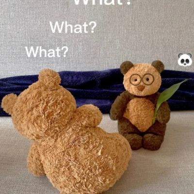 BOB半岛官网入口