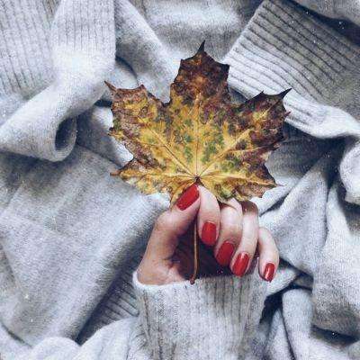 半岛·体育中国官方网站下载截图