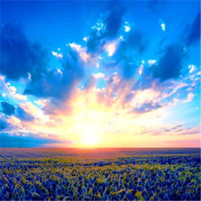 必一体育官网平台