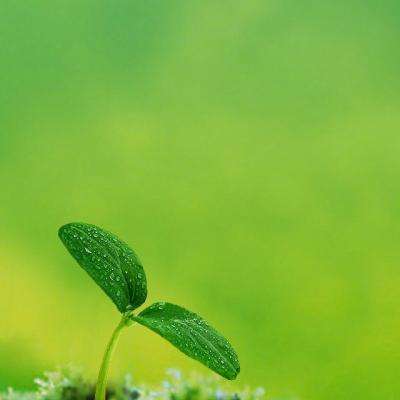 爱体育官方appapp下载