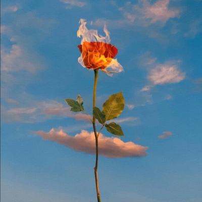 开开棋牌手机app下载