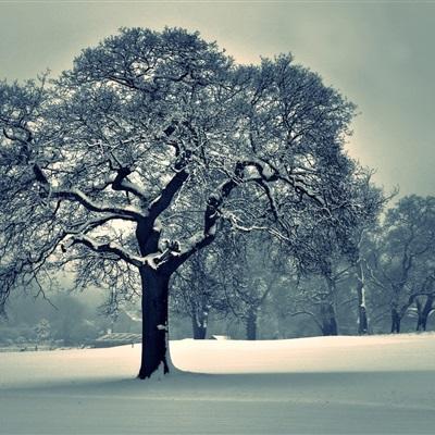 澳门人威尼斯官方