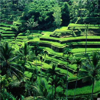 幸运快3在线计划网站